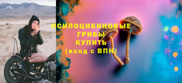 СК Куйбышев