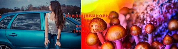 2c-b Кукмор