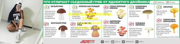 дурь Кулебаки