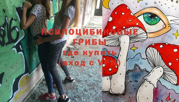 СК Куйбышев