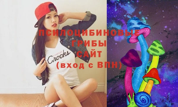 2c-b Кукмор