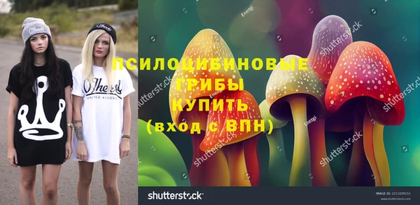 2c-b Кукмор