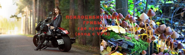 соль ск Краснослободск