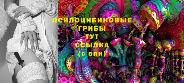 дурь Кулебаки