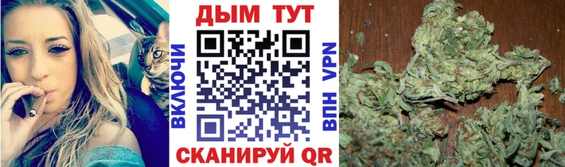 Каннабис Bruce Banner  Купить  Вышний Волочёк 